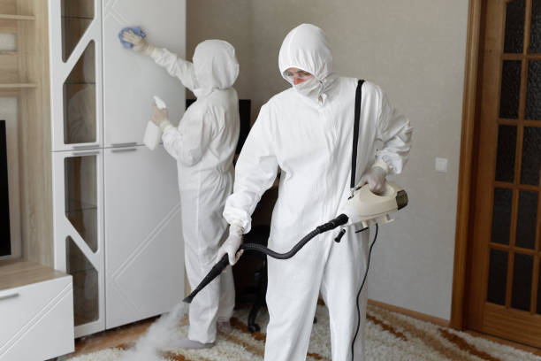 24/7 Emergency Odor Removal experts in Clark, SD